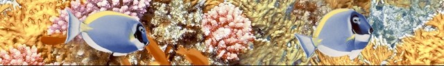 Газкерамика Альба Reef 30х4см бордюр настенный глянцевый