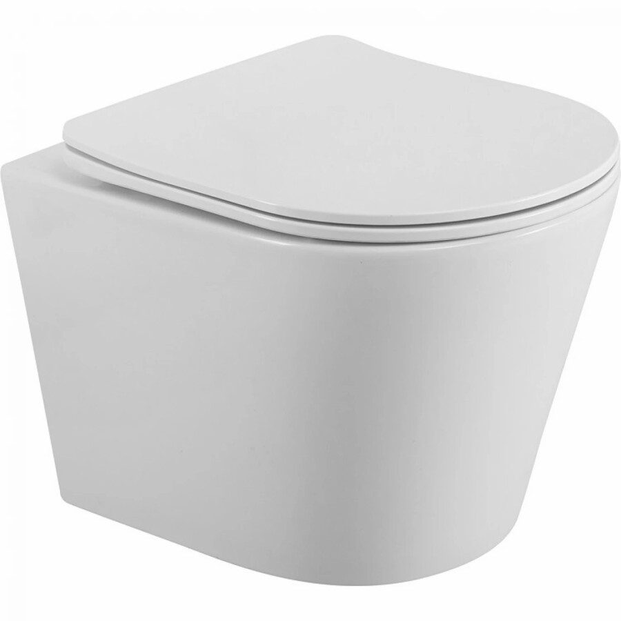 Унитаз безободковый подвесной с крышкой BelBagno FLAY-R BB053CHR/SC