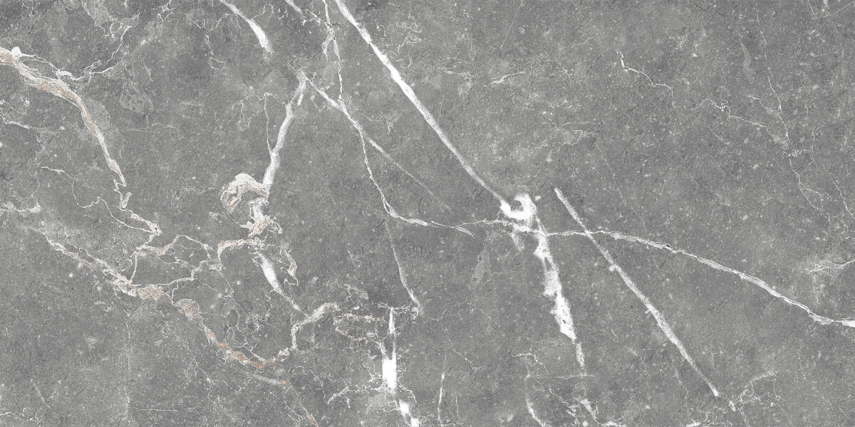 GT99VG Плитка облиц. Capella GT Сер. 50*25 _ 1 74,25