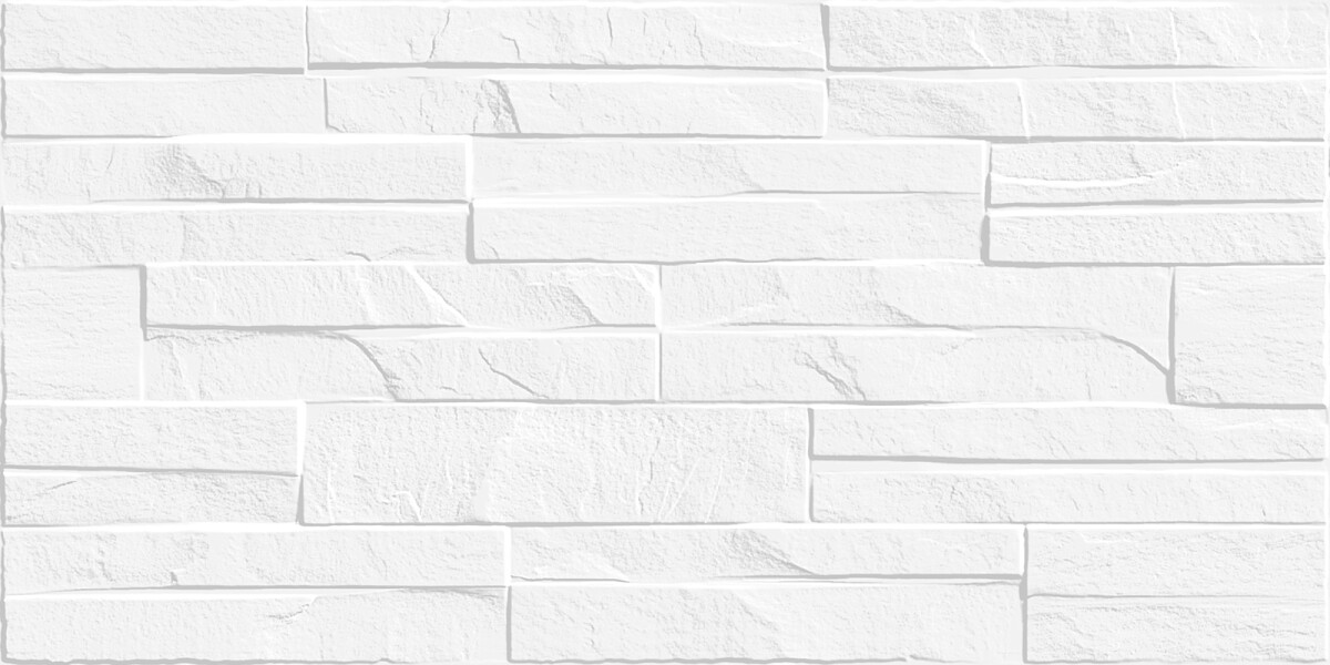 Alma Ceramica Discover Керамическая плитка настенная 249 x 500 x 8 TWU2550DCV10