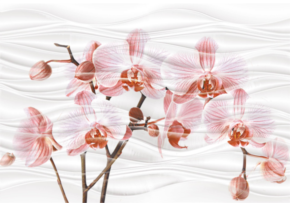 Axima Орхидея керамическая плитка вставка D 28х40