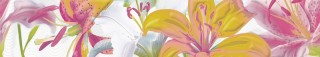 Azori Variete Bouquet 9х50см бордюр настенный глянцевый