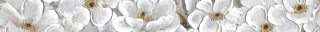 Бордюр настенный (60х600х8) Poli цветы BWU60POL007 ( ALMA CERAMICA) 13шт/уп. Россия