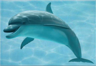 Уралкерамика Лагуна 25х36 см декор настенный дельфин